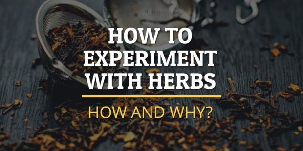Experiment with herbs