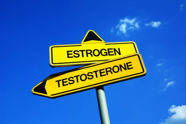 Estrogen and testosterone