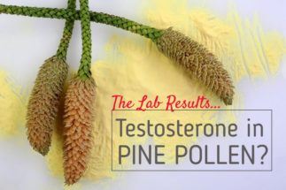 Is Testosterone in Pine Pollen?