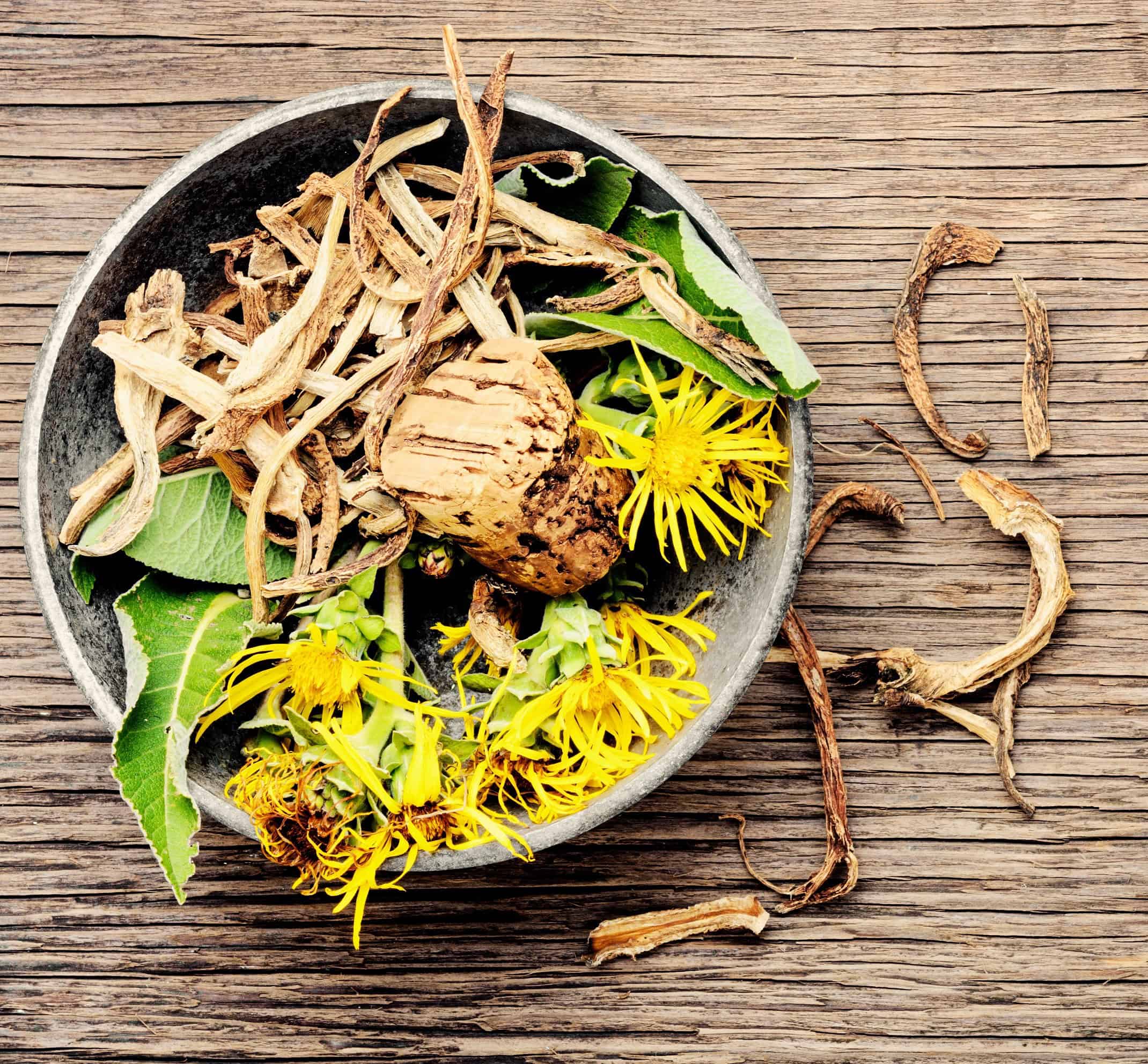 Elecampane Roots and Flowers