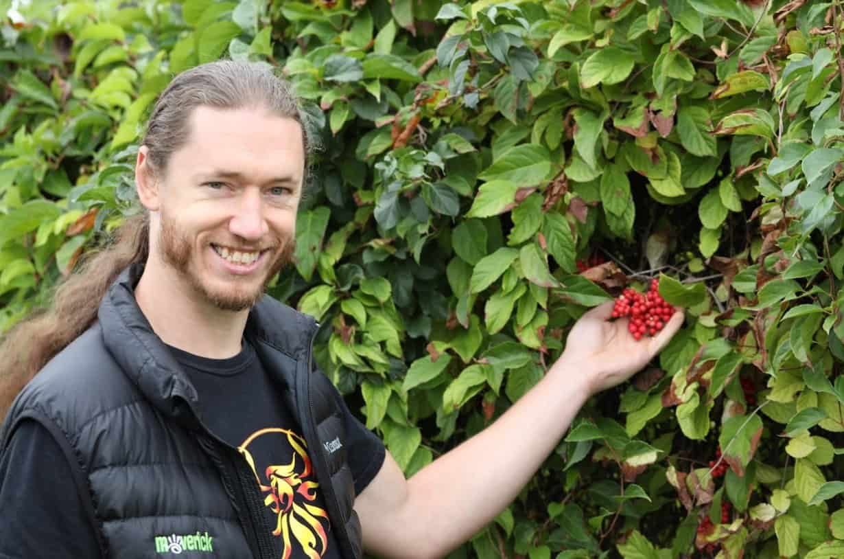 Logan Christopher at the Schisandra Berry organic farm, our source for this freeze dried extract powder