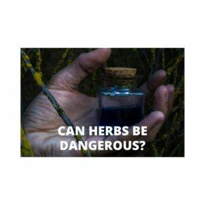 Can Herbs be Dangerous?