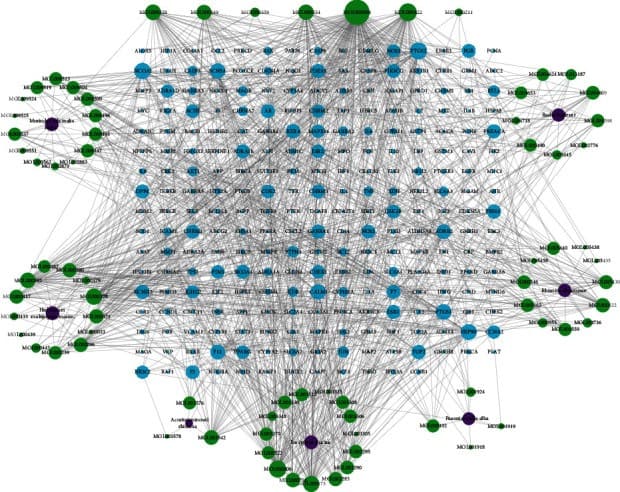 Science Complexity 2