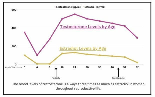 Testosterone versus Estradiol in Women by Age