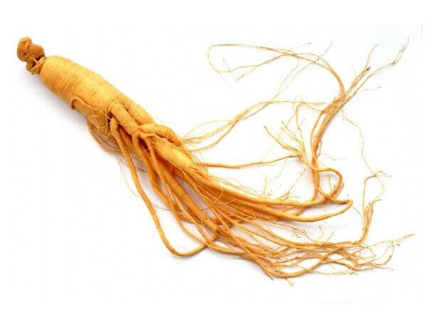American Ginseng Roots