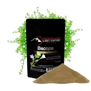Bacopa Powder _ Lost Empire Herbs - Nootropic