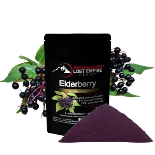Elderberry Powder 30 grams Lost Empire Herbs