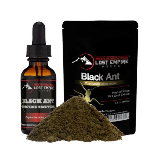 Black Ant Extract Lost Empire Herbs