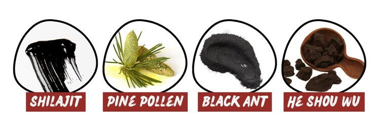 Phoenix Fomula | Pine Pollen, Ant, He Shou Wu, Shilajit