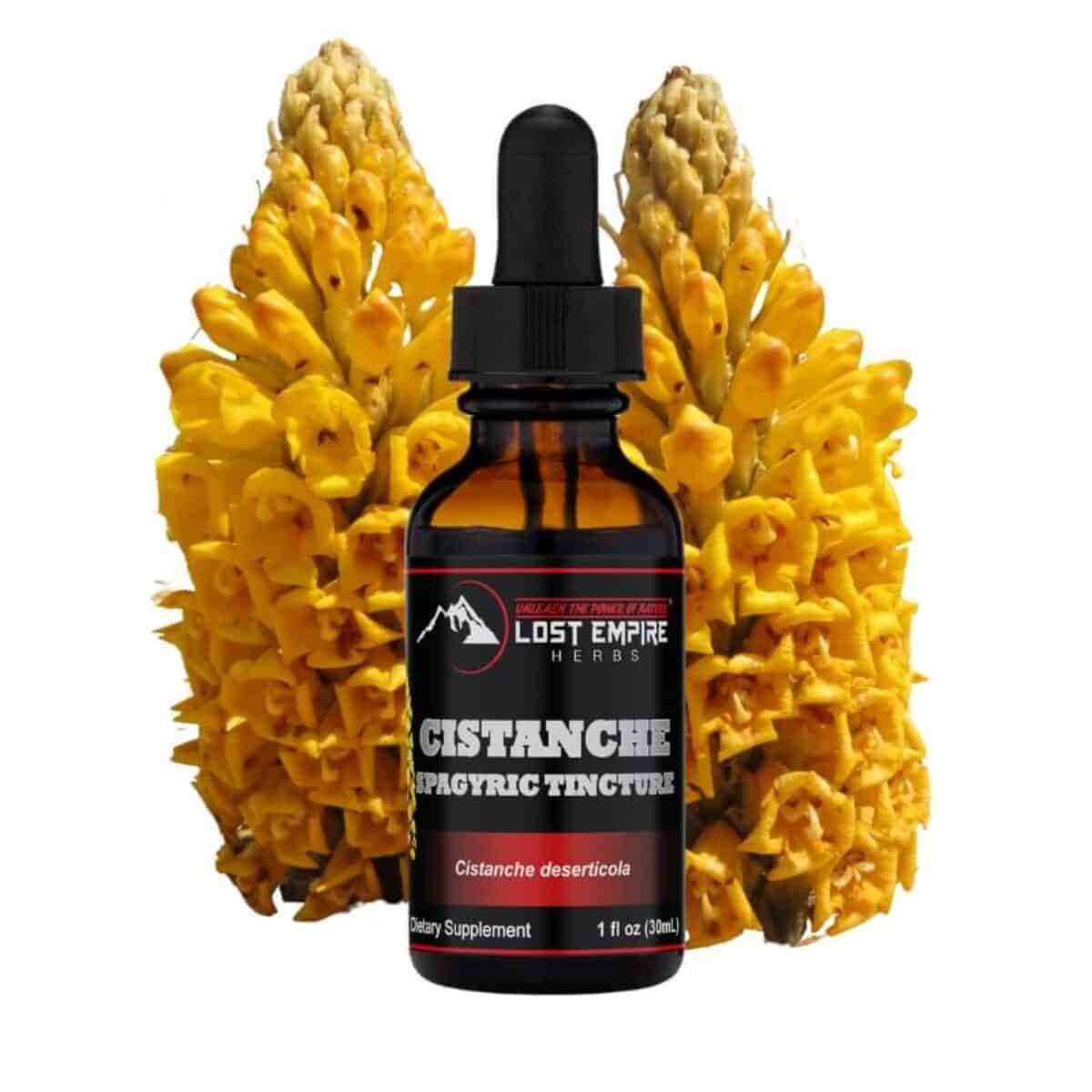 Cistanche Tincture Lost Empire Herbs