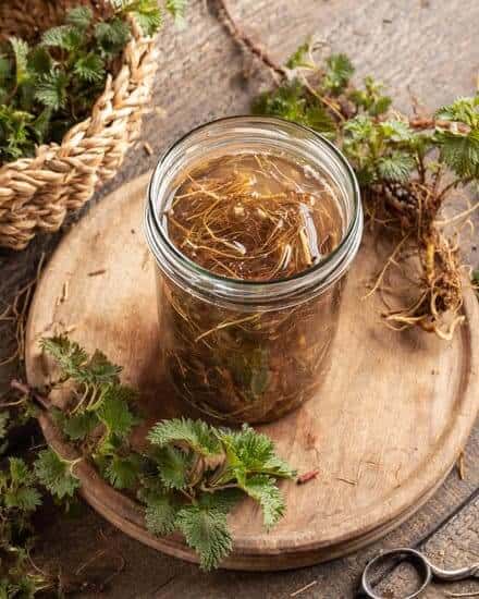 Nettle Root being Tinctures