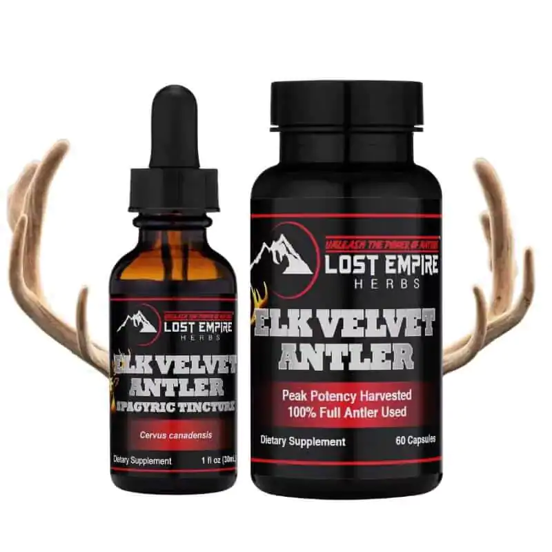Elk Velvet Antler dietary supplement for peak performance and recovery.