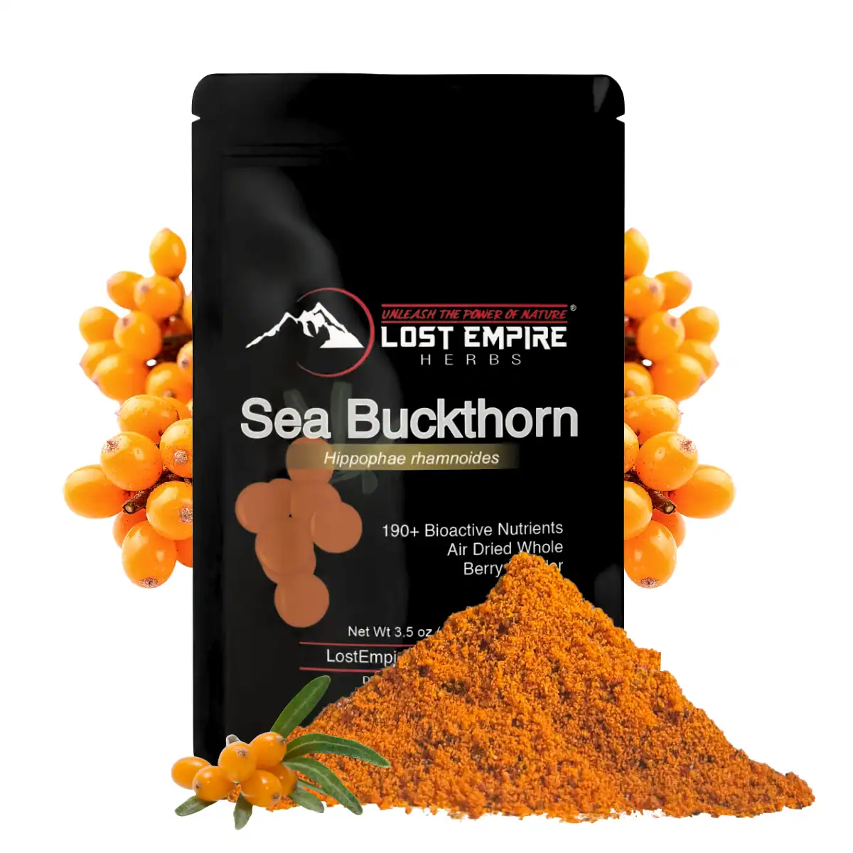 Sea Buckthorn Berry 100g
