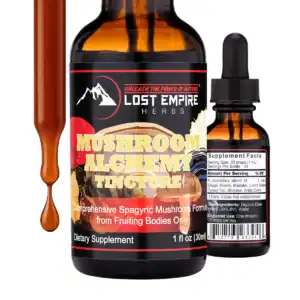 Mushroom Alchemy Tincture