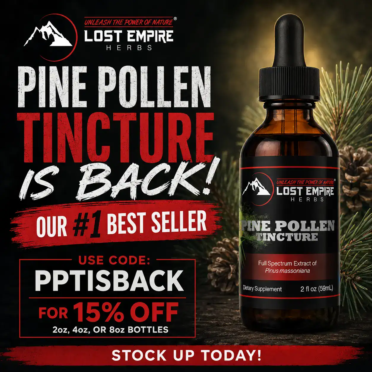 PPT is Back