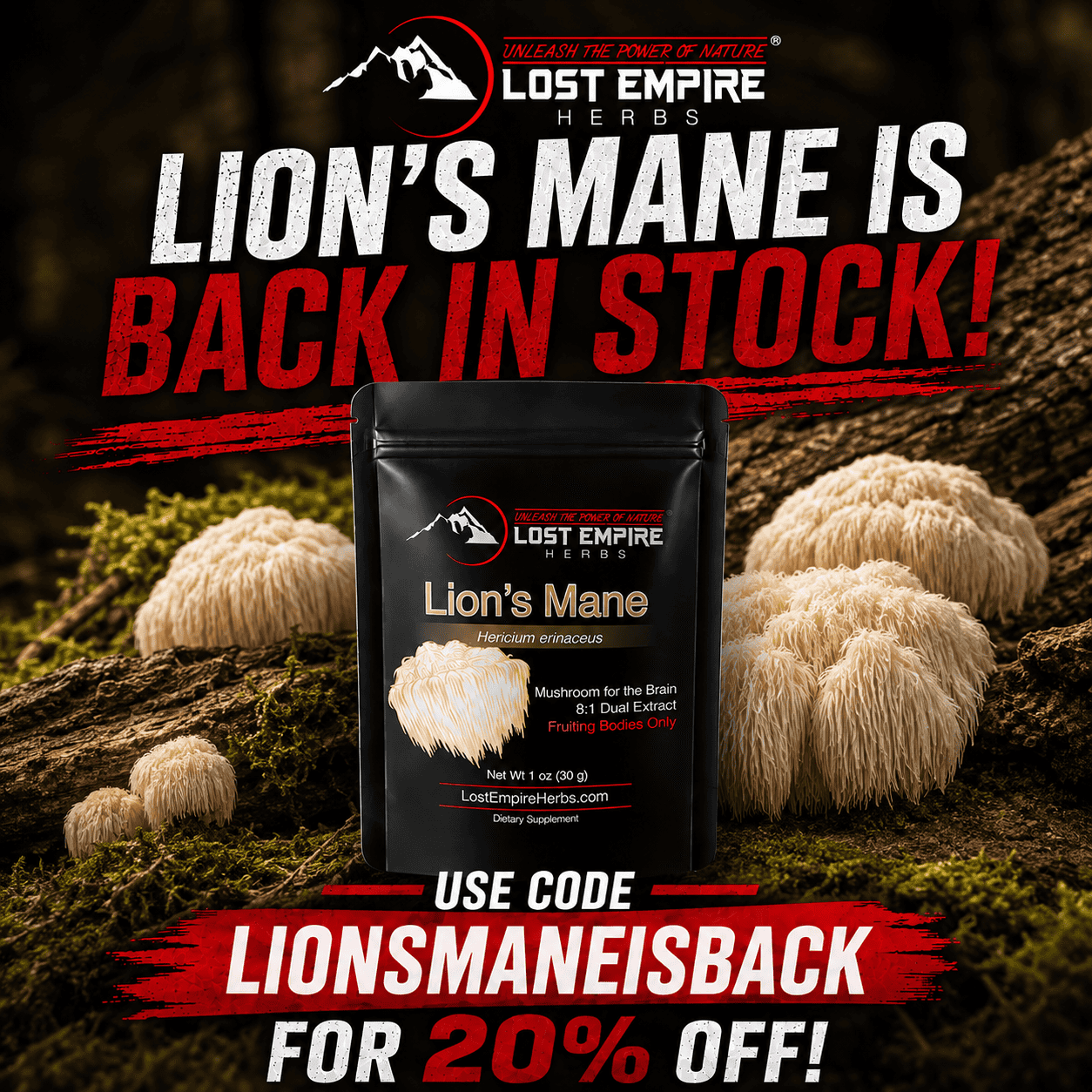 Lion's Mane mushroom supplement from Lost Empire Herbs in black packaging.